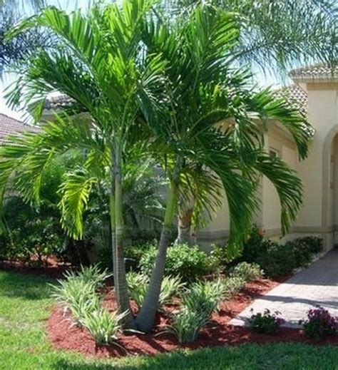 45 Awesome Florida Landscaping With Palm Trees Ideas Tropical