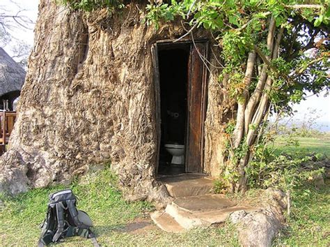 A Toilet Built Inside A Baobab Tree In The Kayila Lodge Zambia Le