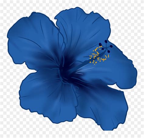 Blue Hibiscus Flower Clipart 20 Free Cliparts Download Images On