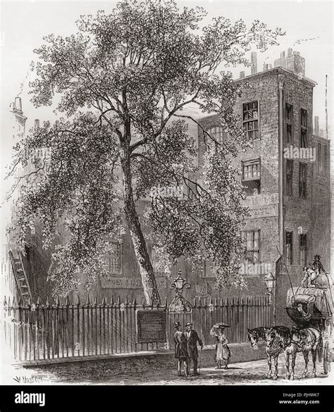 The Plane Tree Wood Street Cheapside London England In The 19th