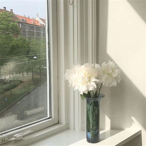 Black and white aesthetic flower wallpapers top free black and. white flowers #style | Flower aesthetic, White flowers ...