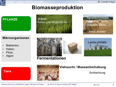 BioTech Kapitel 2 Teil 1 Karteikarten Quizlet