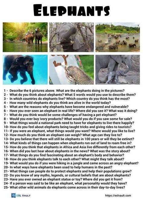25 Mighty Elephants Conversation Questions Esl Vault In 2023