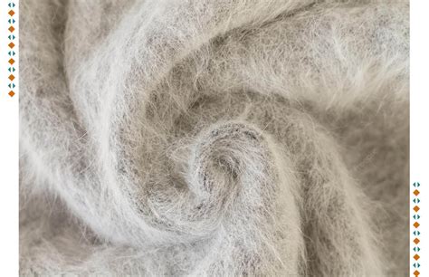 Mohair Fabric History Characteristics Uses Care Instructions