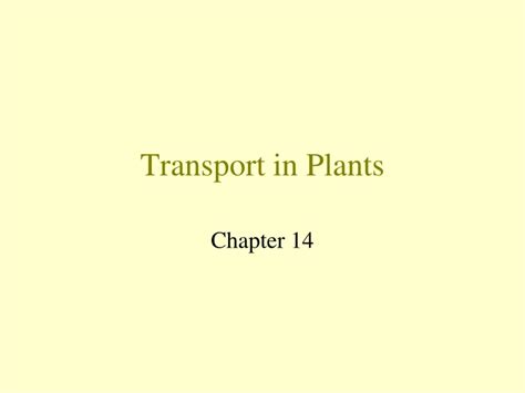 Ppt Transport In Plants Powerpoint Presentation Free Download Id