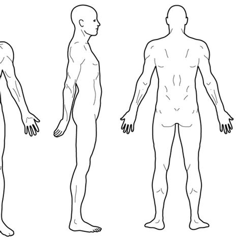 Body Diagram For Professional Massage Chart Front Back Left And Right Views Icon Or Button