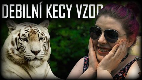 Debilní Kecy V Zoo Youtube
