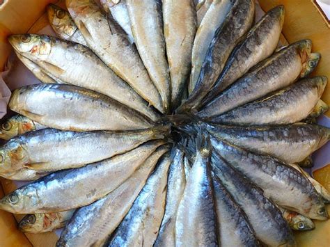 One Of 15 Foods Excellent For Kidney Health Fish