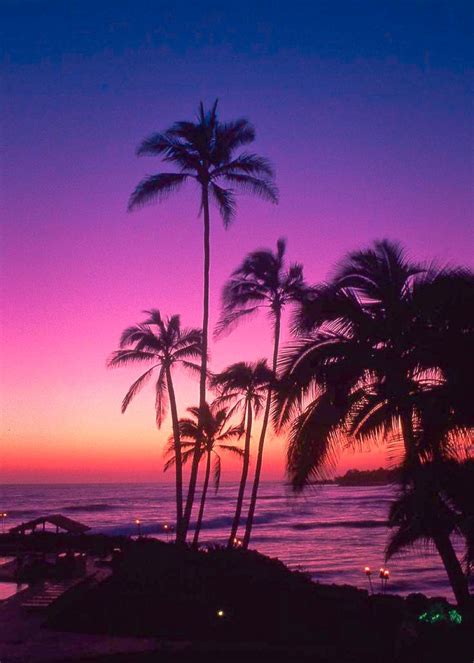 Palm Trees Are Silhouetted Against An Orange And Purple Sunset