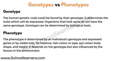 Difference Between Genotype And Phenotype