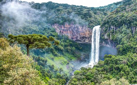 Waterfall In Rainforest Hd Wallpaper Download