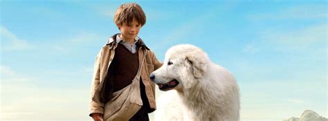 Sébastien finds the dog, gives the name of belle to her and they become friends. Belle and Sebastian - Available on DVD/Blu-Ray, reviews ...