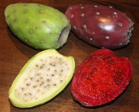 The Great Fruit Hunt Prickly Pear Cactus Pear Tunas