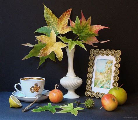 50 Beautiful Still Life Photography Ideas And Tips For