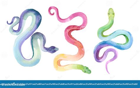Watercolor Set Of Simple Multicolored Snakes Isolated On White