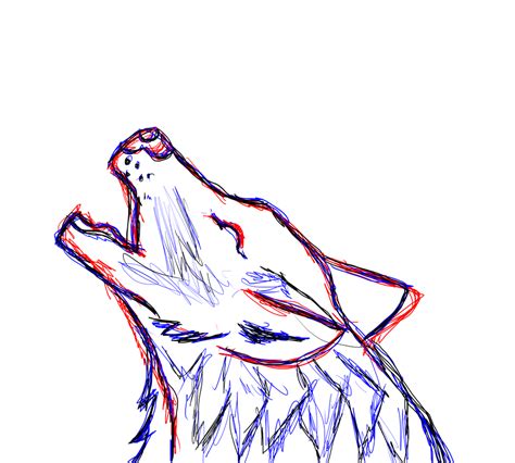 Wolf Sketch By Stormer2 On Deviantart