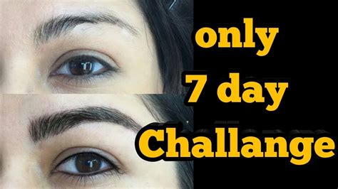 How To Grow Thicker Eyebrows In 7 Days Challenge