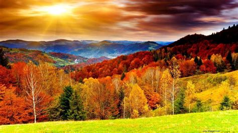 Free Download Autumn Wallpapers Hd 1366x768 For Your Desktop
