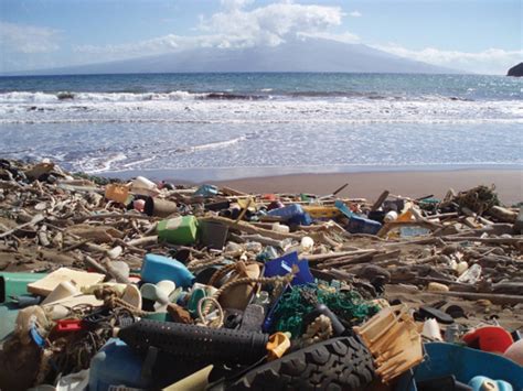 Report Trash Is Choking The Worlds Oceans