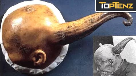 Top 10 Bizarre Archaeological Discoveries Archaeological Discoveries