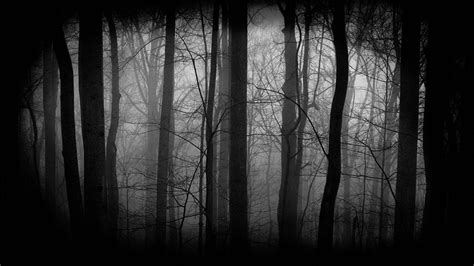 Top 999 Dark Forest Wallpaper Full Hd 4k Free To Use