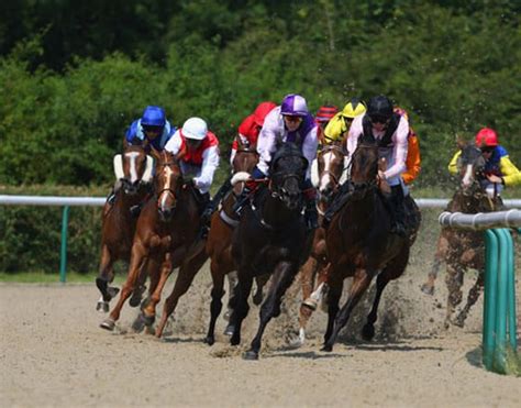 Discover Horse Racing Betting Tips For Doncaster Lingfield And