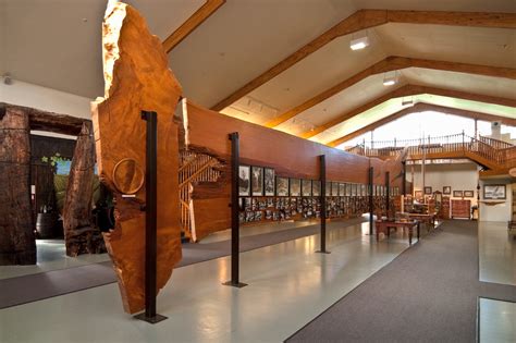 Kauri Museum Award Winning Museum Matakohe Feature 6 Must Do New Zealand