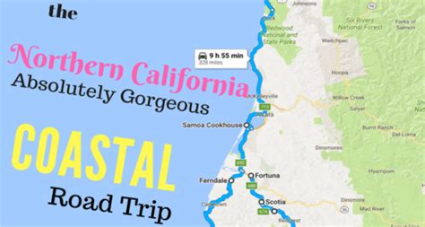 A Gorgeous Northern California Coastal Road Trip In