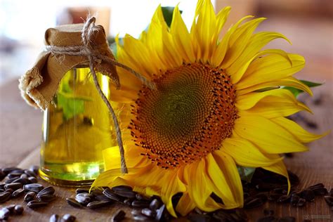 Discover The Many Benefits Of Sunflower Oil