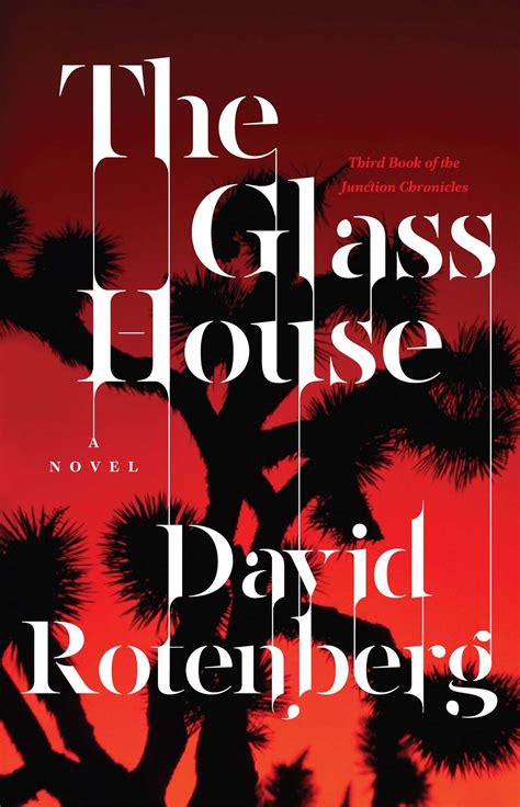 The Glass House Book By David Rotenberg Official Publisher Page