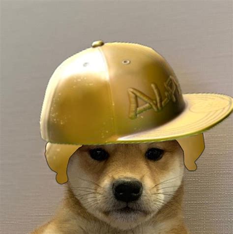 Dog Wif Alfa Cap Rdogwifhatgang