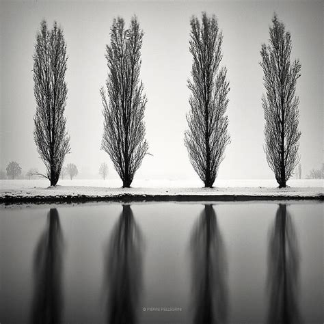Stunning Black And White Winter Landscape Photography By Pierre