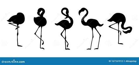 Flamingo Silhouettes Vector Illustration 37637270