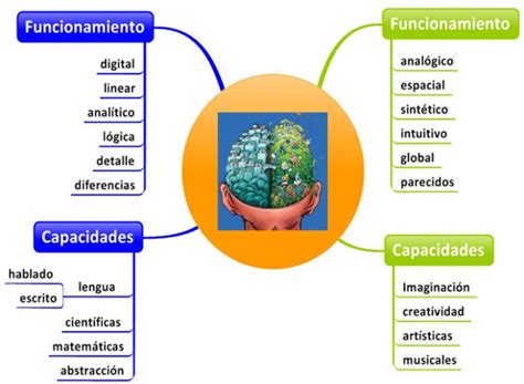 Mapas Mentales Sobre El Cerebro Y Sus Funciones Cuadro Comparativo