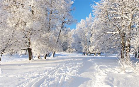 Winter Season Nature Wallpaper For Pc Full Hd Pictures