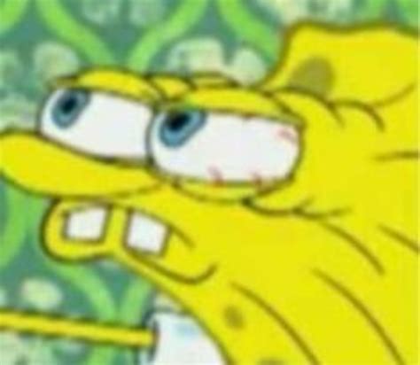 67 Spongebob Squarepants Memes Faces