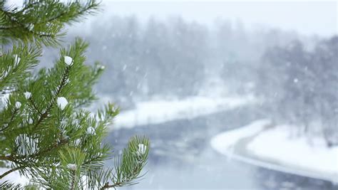 Calm Winter Scene. Snow Falling Stock Footage Video (100% Royalty-free ...