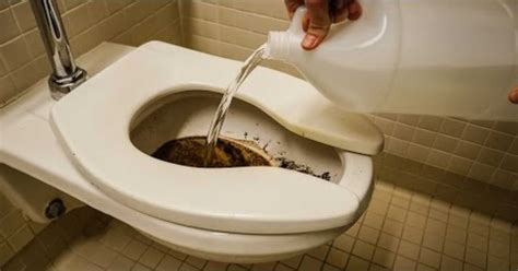 He Poured Vinegar In The Toilet Bowl Why The Reason Is A Very Smart One