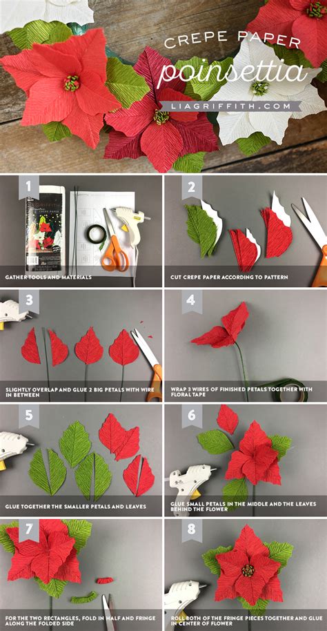 Crepe Paper Poinsettias Template And Video Tutorial