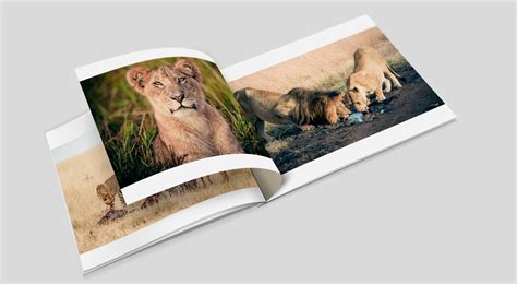 It`s really something different to go through all the wedding photos with a digital device and flipping through a wedding album. VIAMEDIA - Coffee Table Book design cheetahs of botzwana ...