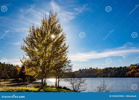 Trees On The Lakeshore Of Aubusson Lake Auvergne France Stock Photo