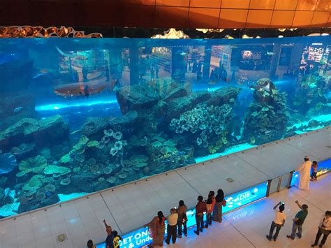 The Dubai Mall Aquarium Dubai Travel Dubai Mall Travel Destinations