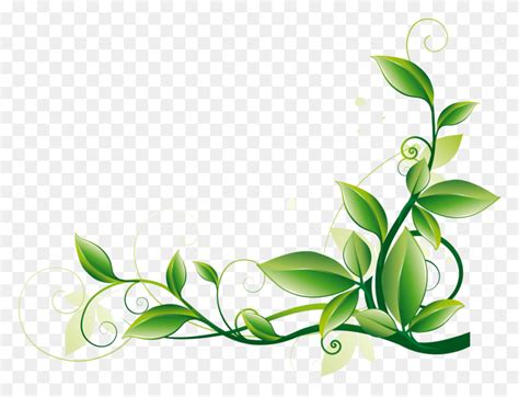 Backgrounds Borders And Frames Plant Border Clipart Flyclipart