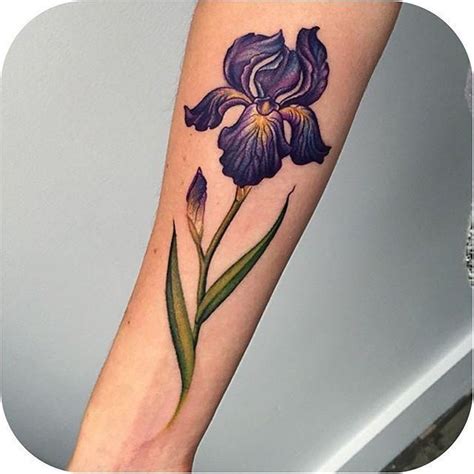 Tattoodo On Twitter Iris Tattoo Iris Flower Tattoo Picture Tattoos