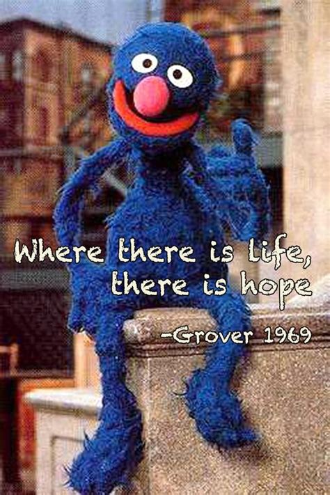 Grover Is My Favorite I Loved The Grover Books As A Child Sesame
