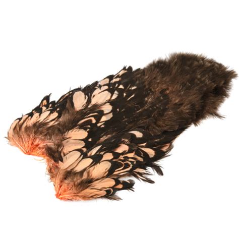 Whiting American Hen Shc Black Laced