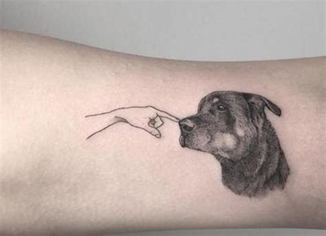 Los Mejores Diseños De Tatuajes Para Los Amantes De Los Perritos