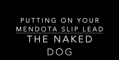 How To Use The Mendota Slip Lead — The Naked Dog Learn To Speak Dog