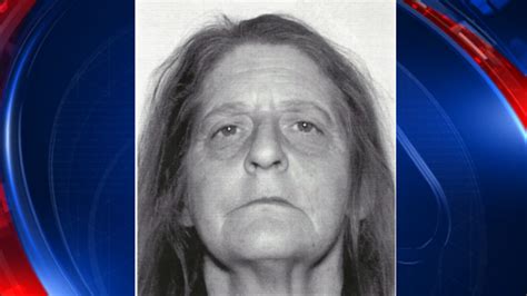 police searching for missing polk county woman