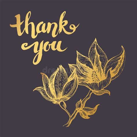 Thank You Hand Drawn Lettering For Vintage Greeting Card Stock Vector
